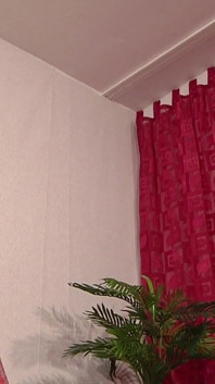 Threesome sex with rental of cock hungry wives - 2