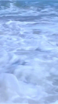 Sexy Video