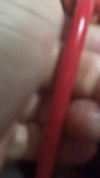 Training My Wife's Ass