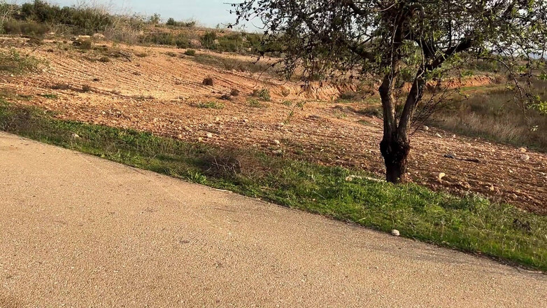 Andrew Oster: 길에서 성욕 중독자를 만났어