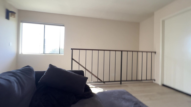 Dante Colle: Дівчина-кур'єр отримує великі чайові