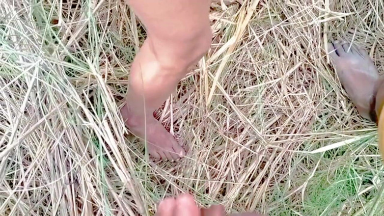 Boyfriend: Su cuñada fue enterrada en el bosque. 