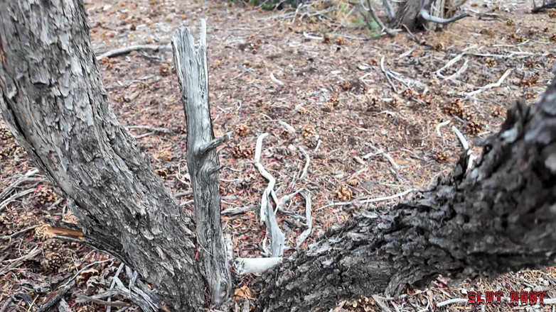 Nasty Sluts Studios: Slut Hunt Episode 8: Lost Cutie Juniper Gets Wrecked