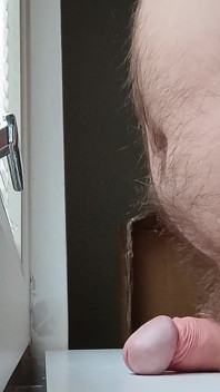 Fensterfick