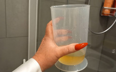 Lady Luciana Di Domizio: 你必须吞下一切