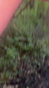 Piss, Mud and Flashing Near the Road
