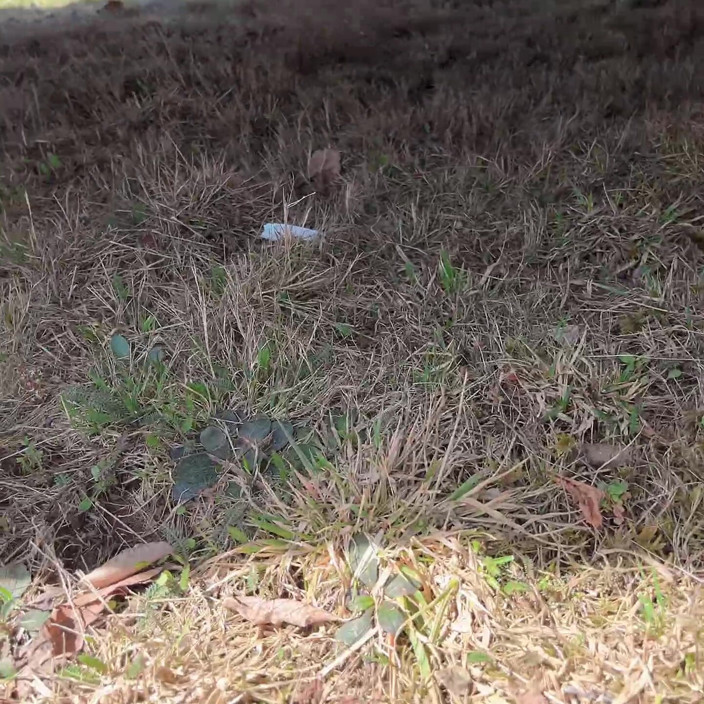sweethanajapanese: Pee on the Ground Near Truck Wheel