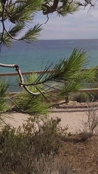 Dick Flash - I Pull Out My Cock in Front of a French Girl... Beach Path and She Helps Me Cum in Mounth Caught!!!