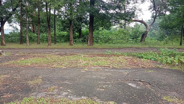 LinearOrnament35: ヨガタイム