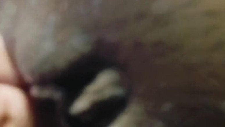 Marri bully: 妻のマストルベーション突然夫が来て、黒いマンコをファックして舐める