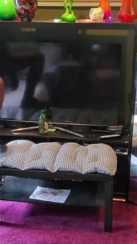 Skórzany BBC pieprzy niedźwiedzia! Lizanie butów i jebanie tyłek!