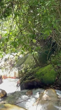 수줍은 이복 언니와 정글 모험을 하러 갔고 결국 그녀를 존나게 따먹고 입에 사정하게 했어