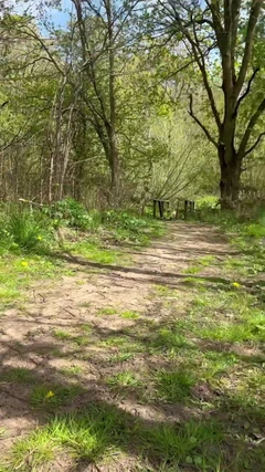 Seduzindo um cara na floresta e fodendo ele também
