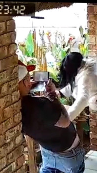 Cuckold baas wilde dat ik zijn sletvrouw neukte, die hij zich aftrekt