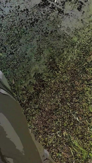 Slutboyben: Slutboyben Cam4 Pendedahan Pemerhati Otak