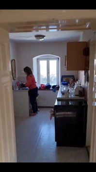 The Dishwasher Sucks