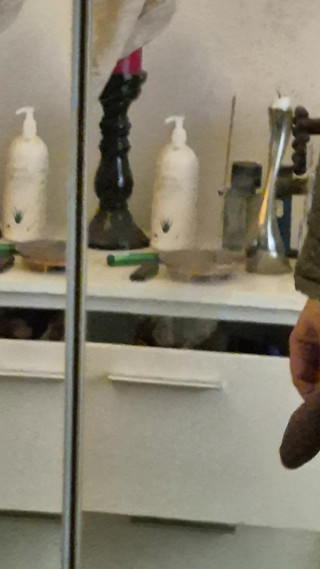 Bjornlive: Tachinare și joacă