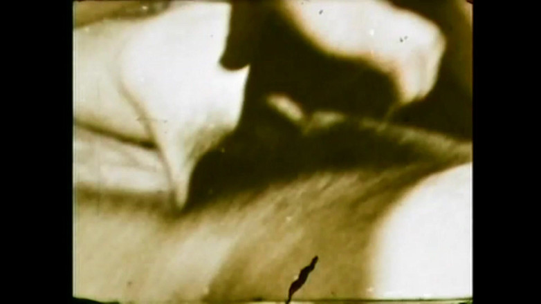 The Unforgettable: Zandy L’amant Sauvage