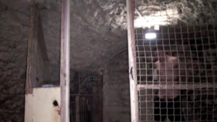 Gaybareback: Matt Kenedy humiliates by scally boy