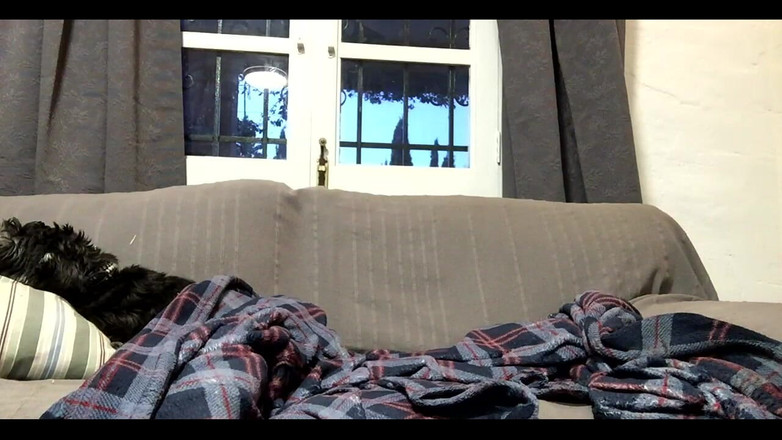 Daddybearvlc: Stream comenzado