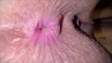 Gigi oficial: Video memek aduhai pasangan kekasih ini dientot habis-habisan - close up