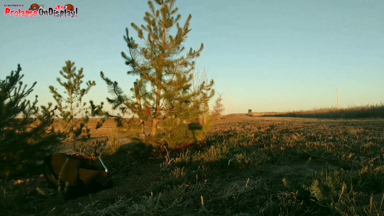 Ass Monkey: Trou du cul détruit