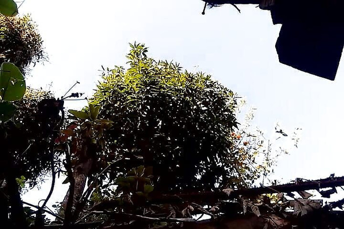 Gangbang straight: Kencing di pagi hari