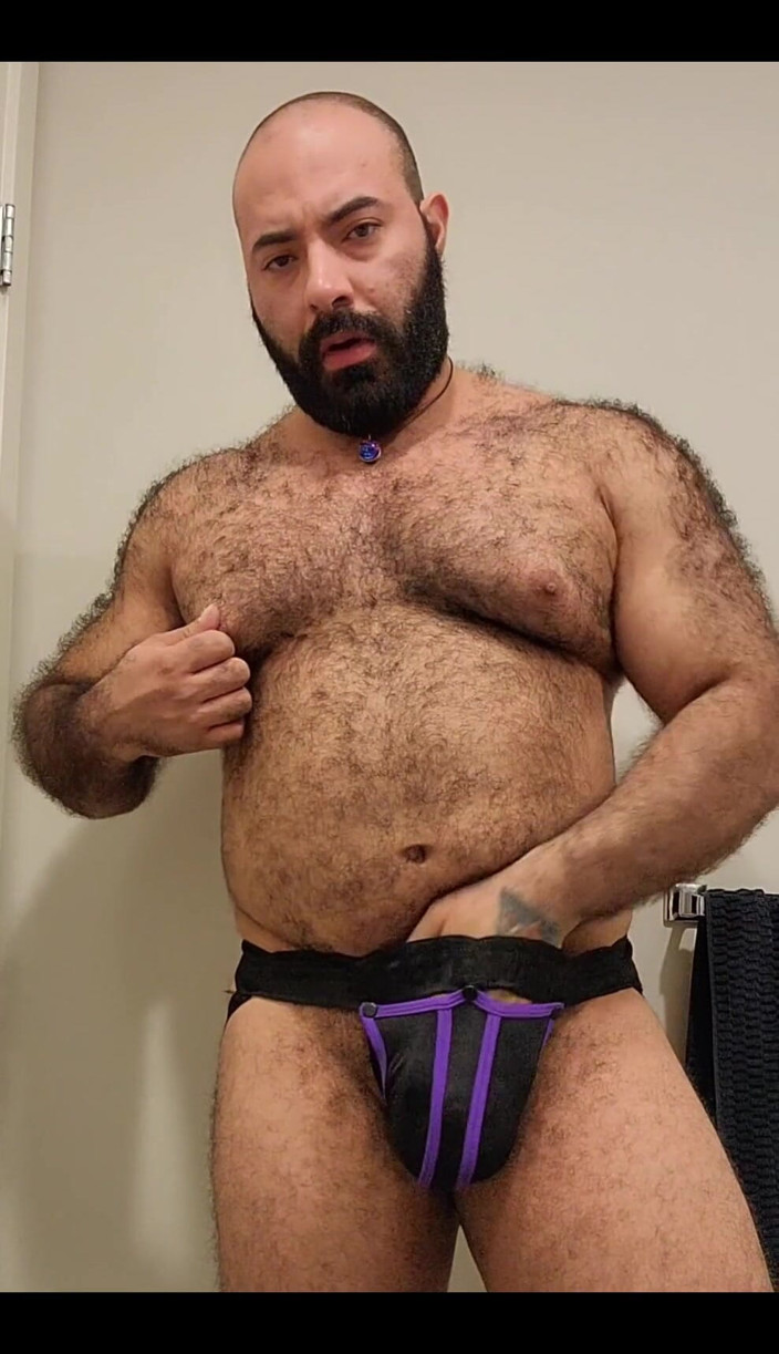 Lobo: Bear Is Here