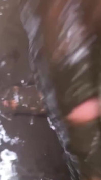 Cumming While Wallowing