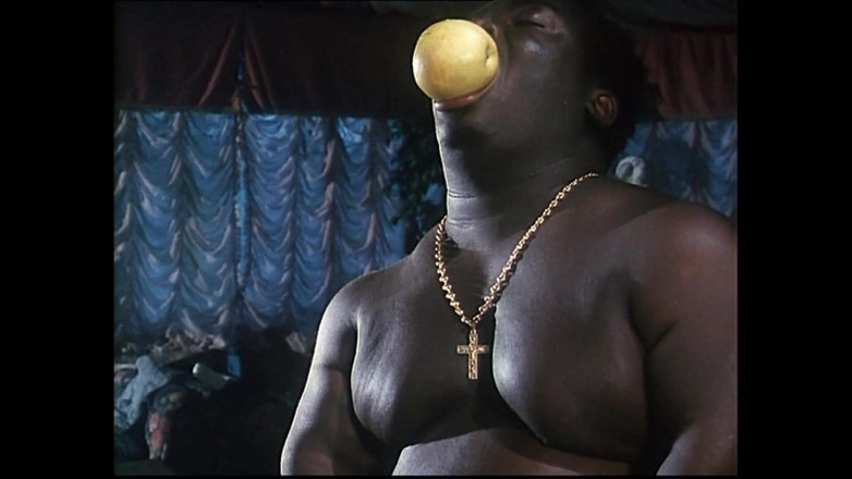 Vintage X: Rutter och bakgrunder Scen 1