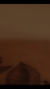 2755818063