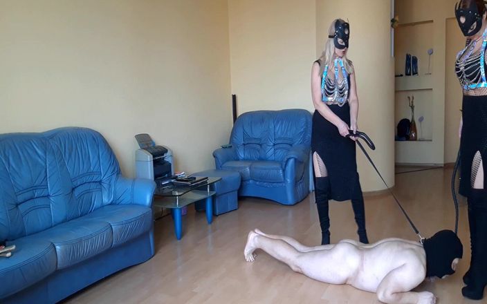 KRNStudio: FFM Session #127 Pet Training