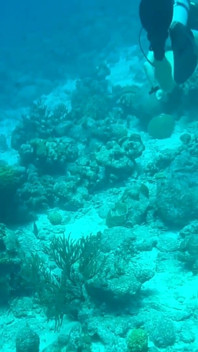 Alone Time in Bonaire