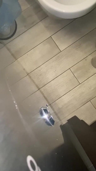 Elena917: Otel tuvaletlerini yalıyor, tuvalet fırçasıyla sikişiyor ve onunla anal seks...