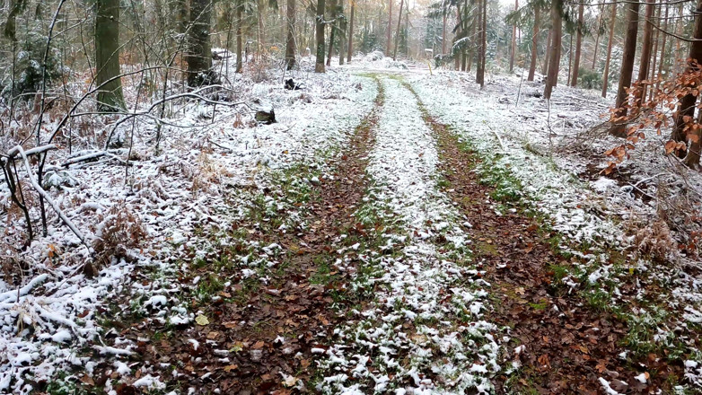 Bouncy Tits Action: Naked Through the Woods and Beating Breasts Warm