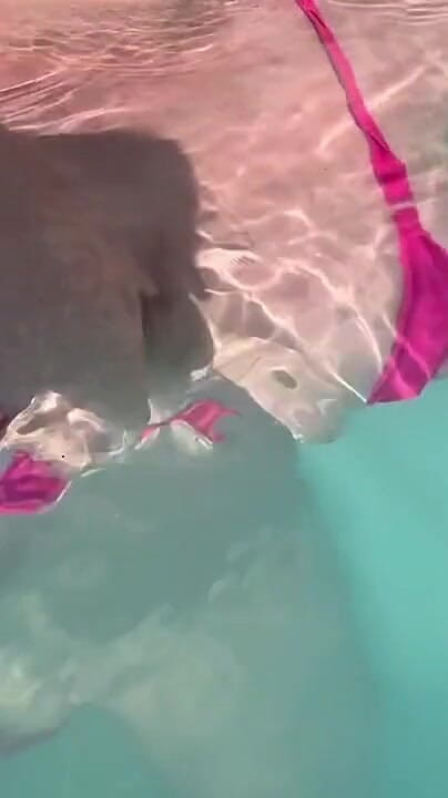 Artemisia Love: Artemisia Love Sexy and Horny Underwater Showing Her Big Tits...