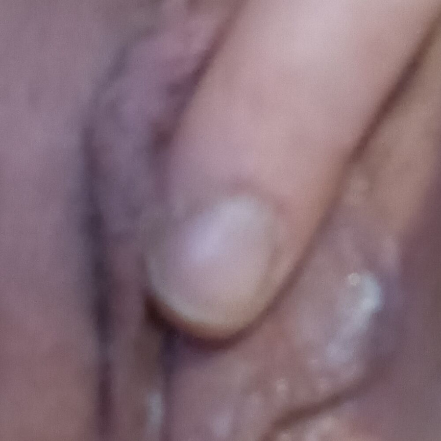 Faphouse