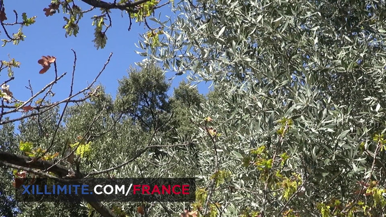 Made In France: Pause sexuelle à la campagne