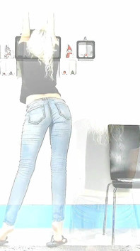 Whaletail Flashing Clip