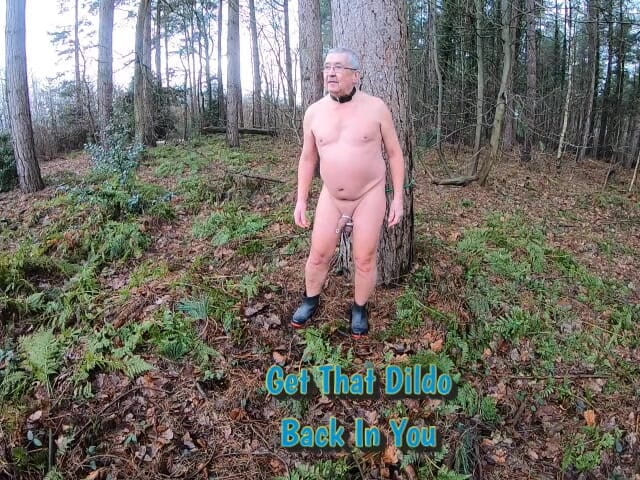 Andy: Dildo nel bosco 3