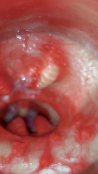 Nejlepší Kompilace Crempie - Kamera Uvnitř 4K