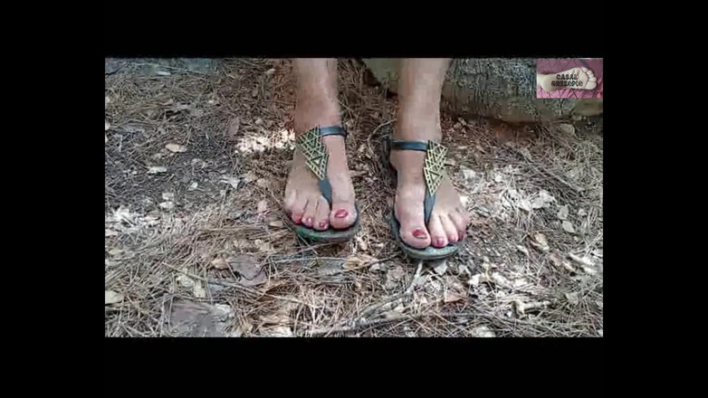 Casal Gresopio Female: Kaki Mel 9