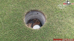 EroCom: Asian golf girl with small tits fucks with her golf...