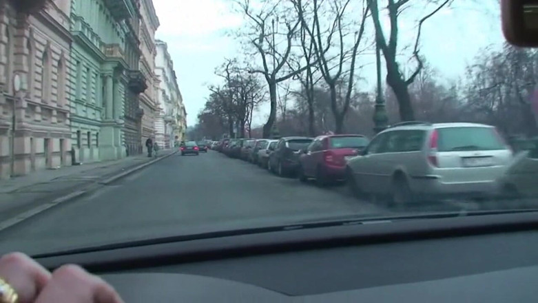 Facial flavor: Cindy Dollar wurde auf der straße abgeholt und zu einem...