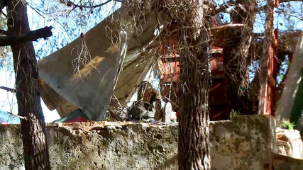 Gazongas: Hnědovlasá kočička hladová po ptákovi dostane nářez do zadku