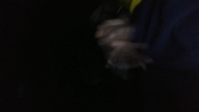 AlexAlejandro13: Super teď cítím, co je to potěšení