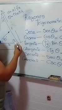 Trigonometri: Trigonometrik Oranlar