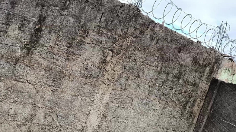 carmonaoficial: Dışarıda ayını siktim, o pisliğin kıçını sağdım