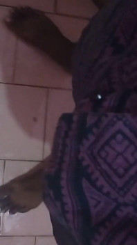 Tamil 10 polegadas BBC Sexy Morning Wood Session em 07 Ago 2025