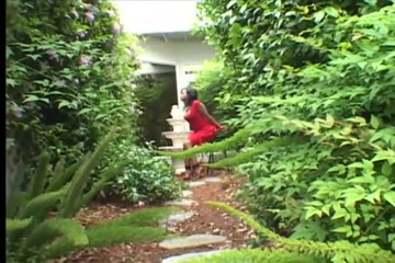 American X: Deep black anal control xxx